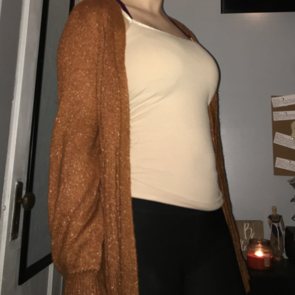 Burnt Orange Embroidered Cardigan